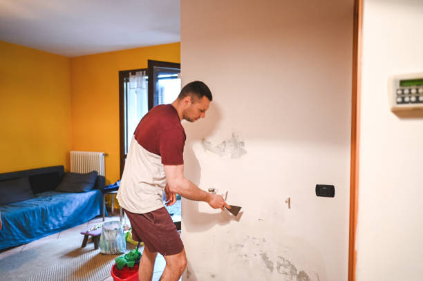 Best Bathroom Mold Remediation in Tallahassee, FL